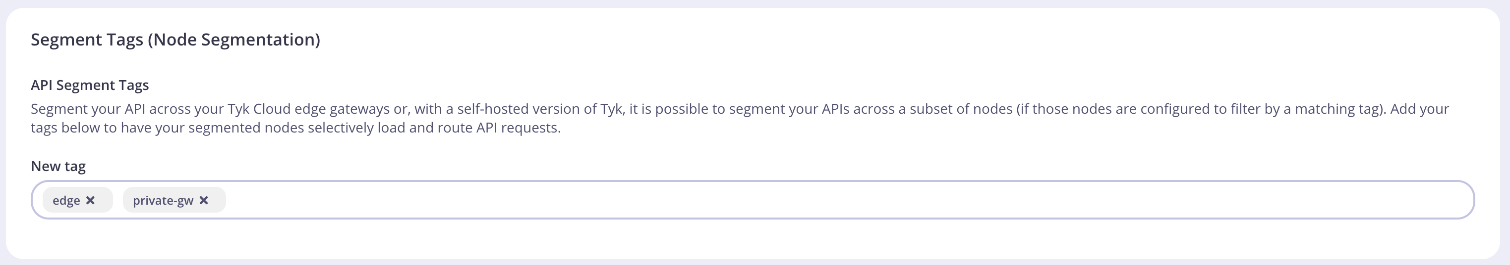 Segement tags section